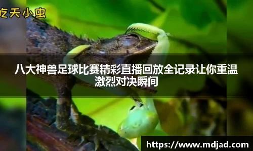 八大神兽足球比赛精彩直播回放全记录让你重温激烈对决瞬间